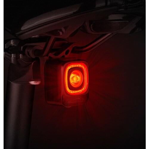 Bicycle Smart Auto Brake Sensing Light 200 IPx6 Waterproof LED Charging Bike Rear Light Cycling Taillight