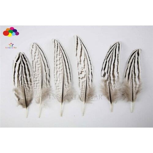 100pcs 100% natural premium pheasant feather 10-15cm/4-6inch white brown tail beautiful for Diy carnival costume mask headdress