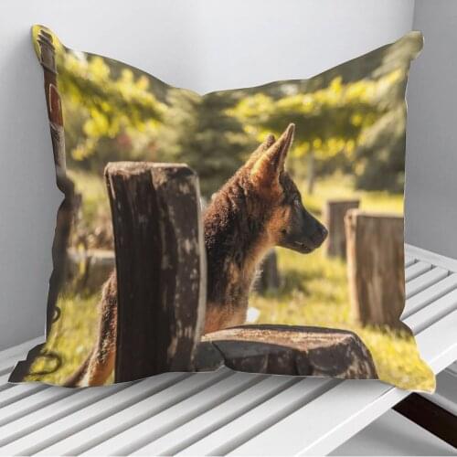 Throw Pillows Cushion Cover On Sofa Home Decor 45*45cm 40*40cm Gift Pillowcase Cojines Dropshipping