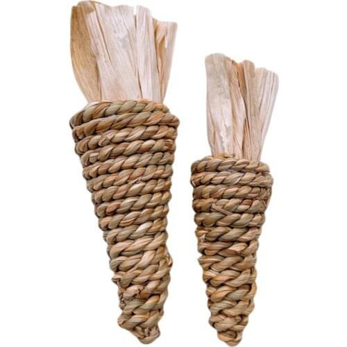 Small Pet Chew Toy Aquatic Radish Rabbit Hamster Totoro Molar Radish Parrot Gnawing Molars Straw Radish Pet Supplies #T