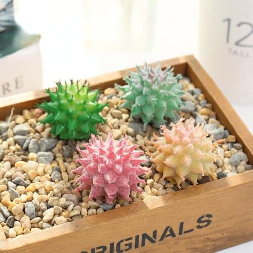 1pc Hot Selling Simulation Multi-meat Plants Potted Creative Bonsai DIY Home Bedroom Dining Table Casual Decoration Ornaments