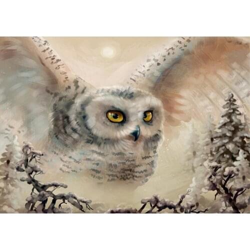 5D Diy Diamond Painting Animal owl Diamond Mosaic Full Square/round Diamond Embroidery Sale crystal picture home decorationTY832