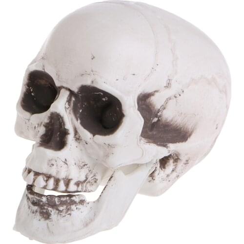 Skull Decor Prop Skeleton Head Plastic Halloween Day Coffee Bars Ornament