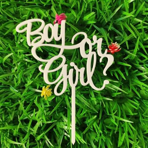 Boy or Girl cake topper/Happy Birthday CakeTopper/Babys gender revealing cake topper/baby shower decorate/Babys first birthday