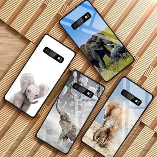 Elephant Wild Animals Tempered Glass Phone Case For Samsung Galaxy S8 S9 S10 S20 PLUS J8 J6 J4 2018 NOTE 8 9 10 Cover Shell