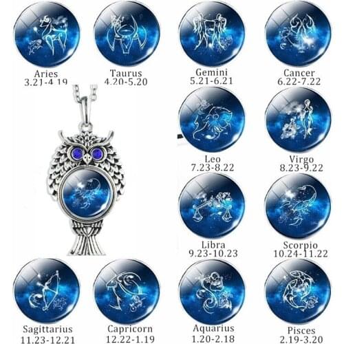 SilverColour Owl Necklace 12 Constellations Blue Glass Cabochon Pendants Zodiacal Sign Necklace Christian Jewelry Owl Gifts
