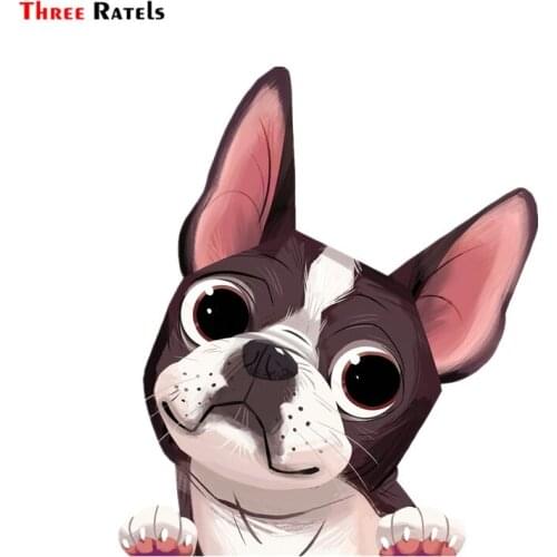 Three Ratels FC656 Cartoon Boston Terrier Dog Car Stickers Anime Decal Motorcycle