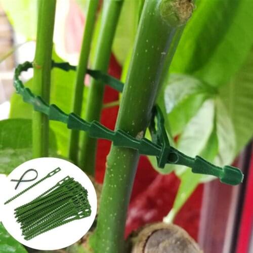 30PCS Plant Cable Ties Reusable Cable Tie Garden Tree Climbing Support for Secure Vines Adjustable Gardening Twist Tying Tool