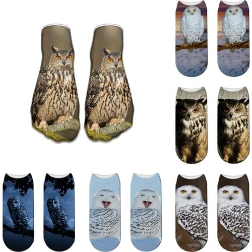 3D Printed Owl Animal Pet Funny Cute Cotton Summer Short Ankle Socks For Man Women Harajuku Korean Novelty Socks