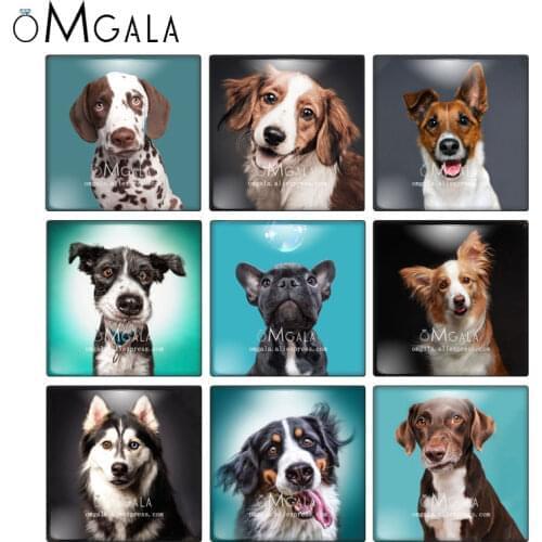 Lovely Pet Dogs Animal Patterns Square 10pcs mixed 12mm/20mm/25mm/30mm photo glass cabochon demo flat back Making findings