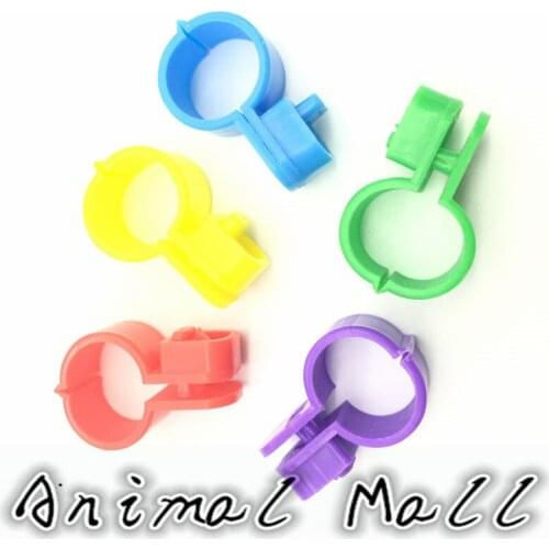 50 Pcs 5 Colors Opening Formula Okra Ring Bird Foot Ring Quail Parrot Pigeon Foot Ring Pet Birds Tool