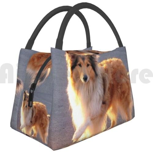 Cooler Lunch Bag Picnic Bag Golden Glow Collie Golden Glow Collie Collie Rough Collie Sable Shaded Sable Dog