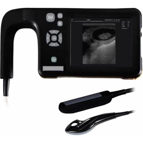 Equine/Cattle/Cow/Camels/Goat/Dog/Cat Veterinary Ultrasound Machine/Equipment/Device