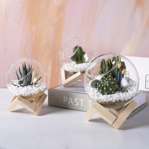 White transparent glass flower pot with wooden holder nordic decoration home Succulent pots terrarium Maceteros decorativos