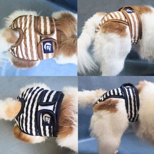Female Dog Washable Reusable Physiological Pants Dog Striped Shorts Diapers Panties Menstruation Underwear Briefs Sanitary Wraps