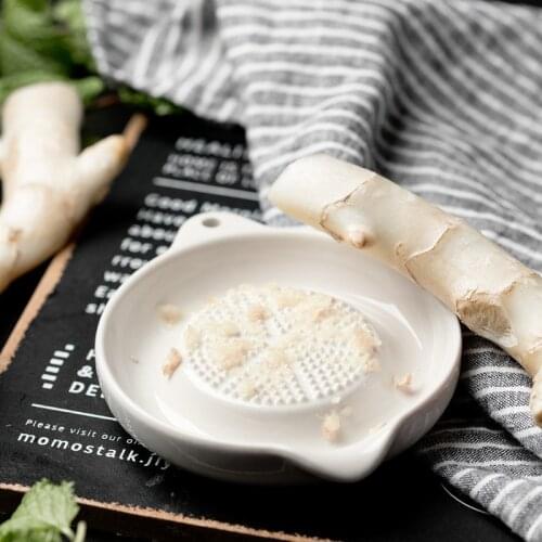 Ceramic Ginger Garlic Wasabi Grater Crushed Garlic Press Device soy sauce dish for sushi sashimi Baby complementary food tools