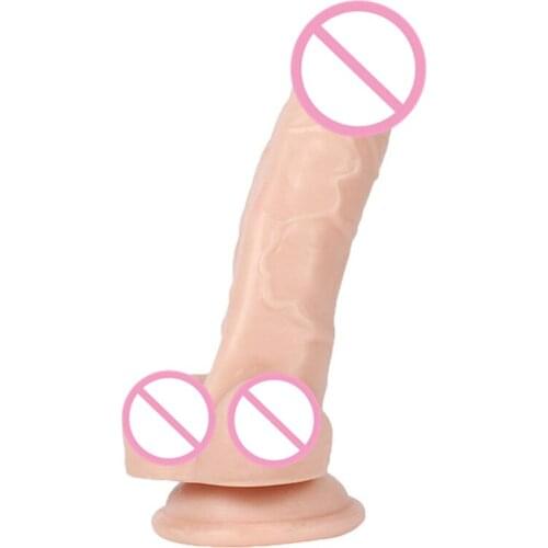 Popular 6.69 Inch Erotic Soft Dildo Anal Butt Plug Realistic Penis Cute Dick Toy Beginner G Spot Sex Novelty for Woman