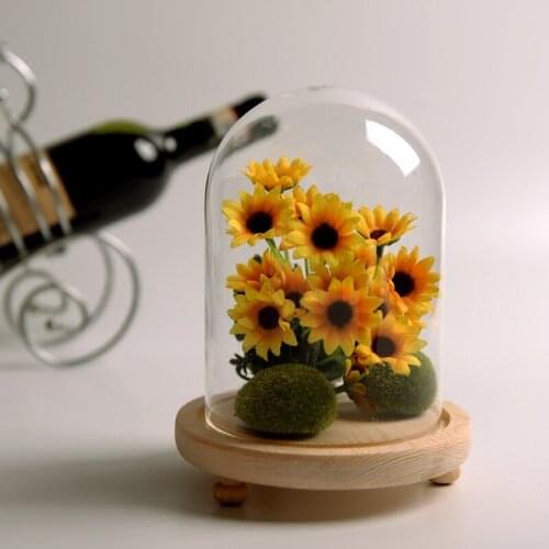 15*25cm Three-Leg Log Base Glass Dome Vase Home Decoration Diameter=15cm Height=25cm Glass Cover Friend Gift Wedding Decoration