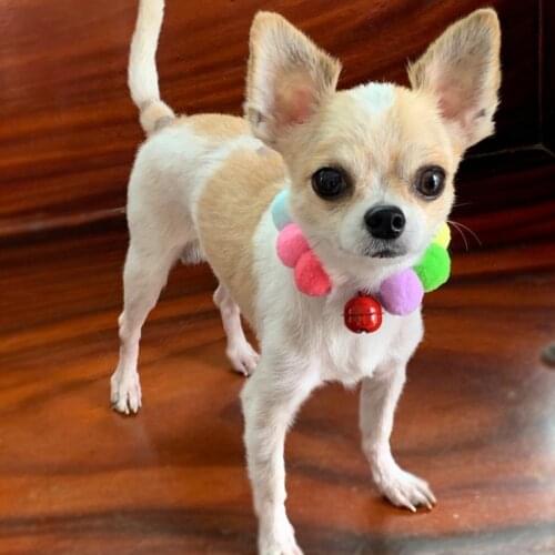 Pet Dog Collars Plush Ball Elastic Puppy Collar Adjustable Personalized Dogs Necklace Pets Accessories Product