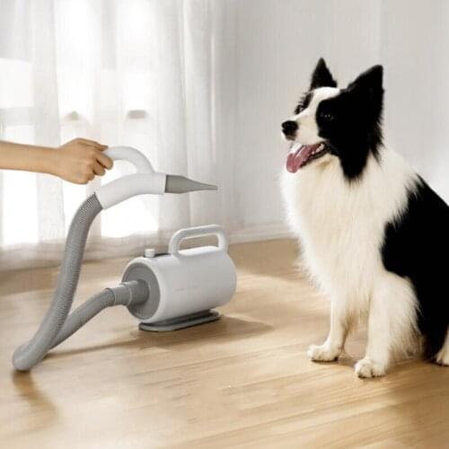Hair Dryer Pet Dog Cat Grooming LED Temperature Display Blower Warm Wind Fast Blow-dryer for Small Medium Large Dog Dryer