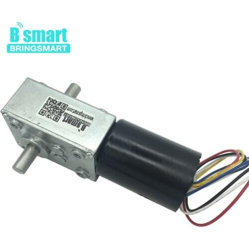 BringSmart BLDC Motor Top Quality 5840-3650 24v Brushless Dc Worm Gear Motor 12 Volt Double Shaft Gear Motor
