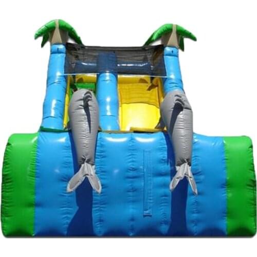 Outdoor inflatable small Dolphin slide inflatable dry slide for kids