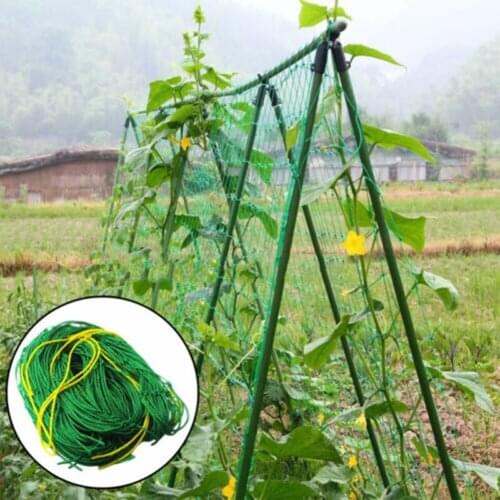 Garden Net Climbing Plant Plastic Support Mesh Clematis Pea Bean Trellis Durable Adjustable Garden Netting E2S