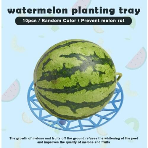 10 PCS Melon Squash Cradle Reusable Plant & Garden Support Rack Avoid Ground Rot Protects Large Cane Vine Fruit XH8Z