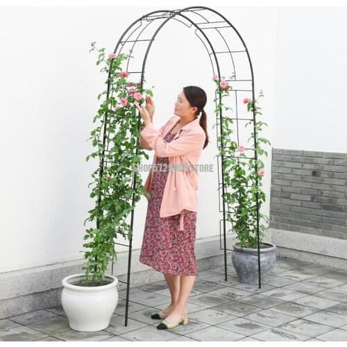 Arch flower stand, climbing vine stand, wrought iron garden, outdoor rose flower stand, clematis garden, vine plant stand decora