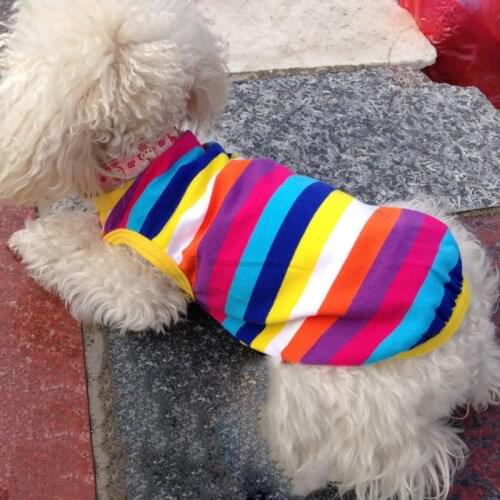 Colorful Spring Dog Shirts Pet Clothing For Small Dog Cute Summer Pet Clothes Puppy Outfit For Dog Clothes 38