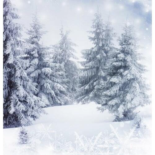 VinylBDS Digital Printing Photography Winter Photo Studio Backdrop Snow White Background For Wedding Backdrop