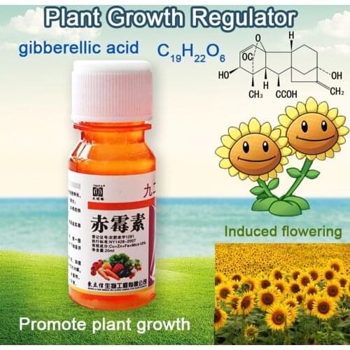 20ml Concentrate Gibberellic Acid Liquid 920 Plant Growth Regulator Break Sleep Fertilizer Increase Production For Farm Garden