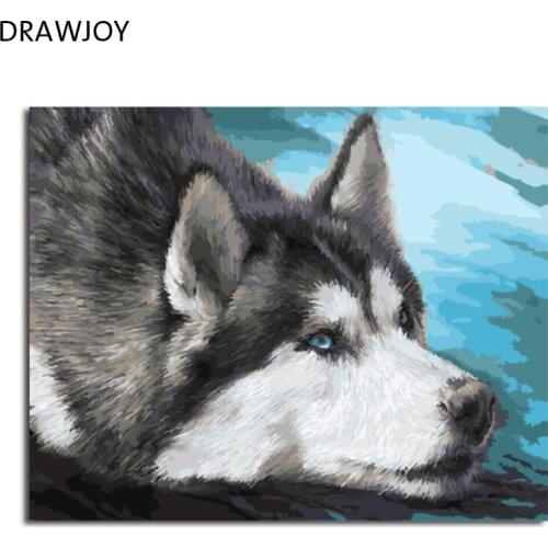 DRAWJOY Framed Pictures Painting & Calligraphy DIY Painting By Numbers Of Animal Oil Painting Home Decor 40*50cm