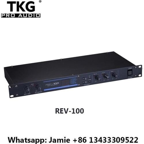 TKG dj sound Professional Audio Signal Processor Digital REV100 Effector REV100 REV-100 Sound effect karaoke effect processor