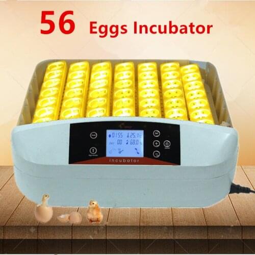 110V/220V 56 Eggs Automatic Egg Turning Large Capacity Mini Incubator For Chicken Poultry Quail