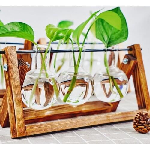 Glass bottle vase hydroponic plant transparent vase wooden stand coffee shop room decoration desktop decoration vase greenhouse