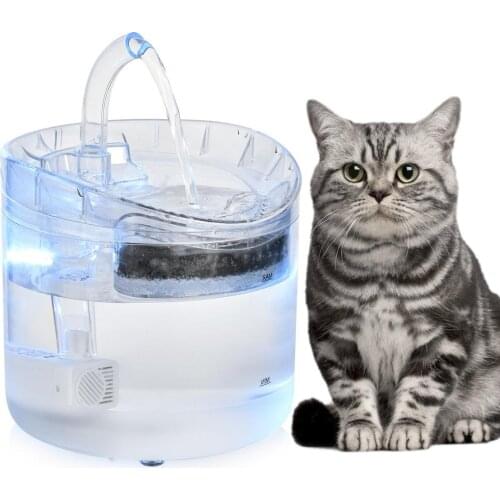 GoldCistern Products For Cats