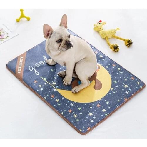 Pet Summer Cartoon Cooling Mat Viscose Cushion Sleeping Skin Friendly Breathable Waterproof Small Medium Large Dog Beds Mats