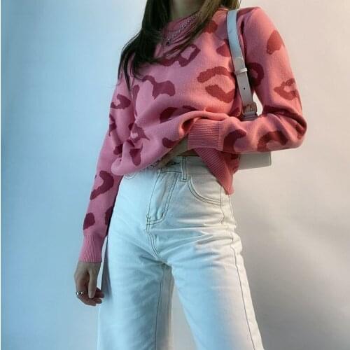 2021 Womens Autumn New Fashion Casual Adults Long Sleeve Round Neck Knit Female Clothing(Pink) Sweater Leopard Print Pullover