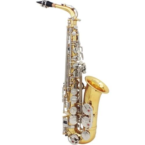 NEW Saxophone Muslady Saxophone Sax Glossy Brass Engraved Eb E-Flat Shell Button Wind Instrument with Case Mute Gloves