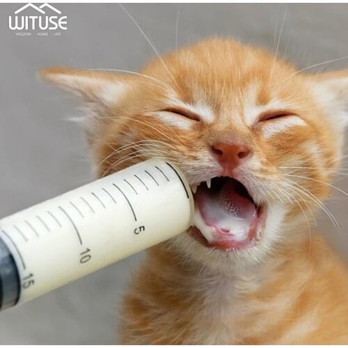 Injector For Pet Feeding Tool 50ml Syringe Plastic Large Capacity Transparent Reusable Sterile Measuring Nutrient Hydroponic