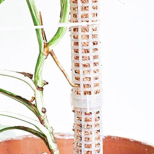 Climbing Plant Indoor Plant Support Extension Pole Stick Climbing Creepers