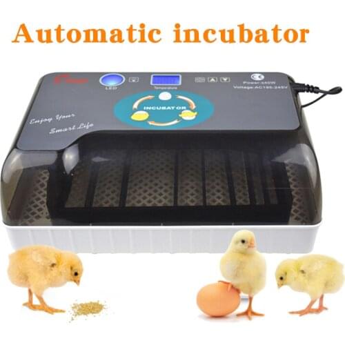 Household Automatic Incubator Brooder Farm Hatchery Machine 12 Eggs Hatcher Chicken Egg Incubator Goose Bird Quail Brooder