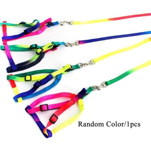 Small Dog Cat Harness Leash Adjustable Vest Collar Puppy Outdoor Walking Chihuahua Terier Schnauzer 120cm