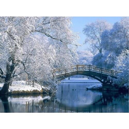 Embroidery Counted Cross Stitch Kits Needlework - Crafts 14 ct DMC Color DIY Arts Handmade Decor -Snowing park