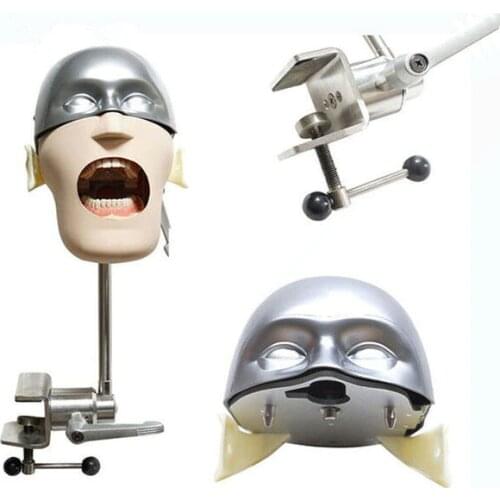 Dental teaching model Stainless steel head model NISSIN Dental manikins and models Phantom Head