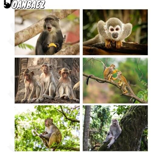 5Ddiy Diamond Painting Forest Animal Little Monkey Cross Stitch Diamond Embroidery Dream Mosaic Home Decoration Gift