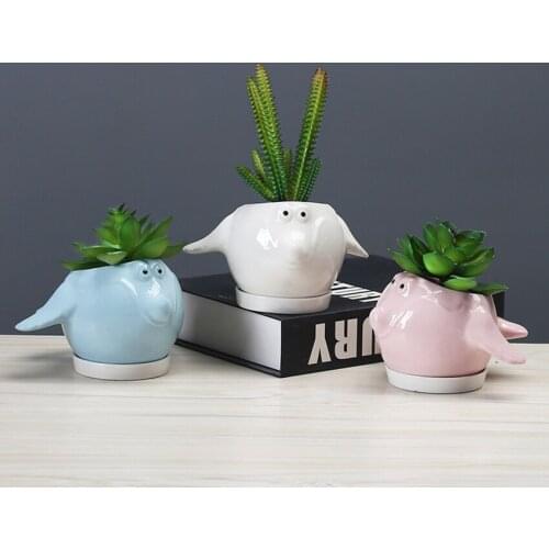 Animal Cartoon Cute Potted Succulents Simple Flower Pot Creative Desktop Plant Ornaments Garden Green Plants Ceramic Flower Pot