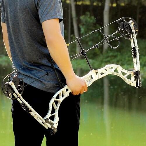 Outdoor Compound Pulley Bow Set 35-60lbs Falcon Falcon Compound Pulley Bow And Arrow Equipped With Compound Bow