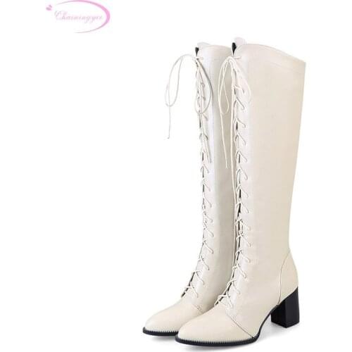 Chainingyee college style sexy pointed toe knee-high boots lace-up zipper black brown beige high-heeled woman riding boots